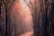 欧联杯八强相遇，曼联曾与里昂欧战交手4次，2胜2平保持不败.