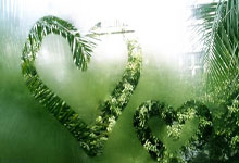 欧联-梅努传射 曼联2-0布加勒斯特星不败进16强.