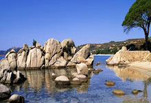 巩立姣、谢震业领衔南京室内世锦赛中国田径队阵容.